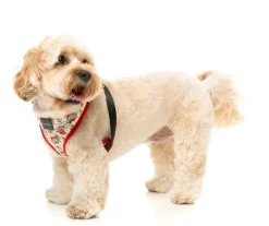 FuzzYard Ink'd Up - Harness