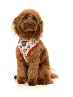 FuzzYard Ink'd Up - Harness