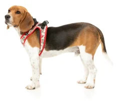 FuzzYard Ink'd Up - Step In Harness