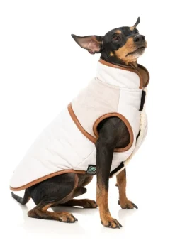 FuzzYard Ivanhoe Jacket - Ivory