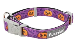 FuzzYard Jack Jack Jackie Lantern - Purple - Dog Collar