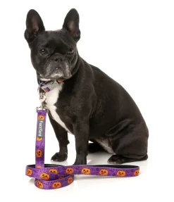 FuzzYard Jack Jack Jackie Lantern - Purple - Dog Lead