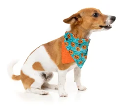 FuzzYard Jack Jack Jackie Lantern - Bandana - Teal