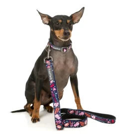 FuzzYard Jackpup - Dog Lead