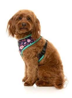 FuzzYard Jackpup - Harness