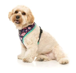 FuzzYard Jackpup - Harness