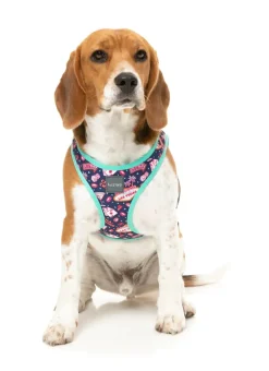 FuzzYard Jackpup - Step In Harness