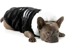 FuzzYard Jerry Spinefield - Fluffy Hoodie Costume