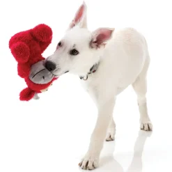 FuzzYard Jordan the Bull