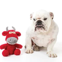 FuzzYard Jordan the Bull