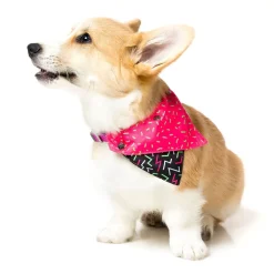 FuzzYard Juicy Pet Bandana