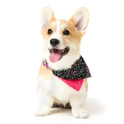 FuzzYard Juicy Pet Bandana