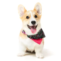 FuzzYard Juicy Pet Bandana
