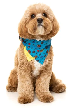 FuzzYard Kings of Gold School Bandana