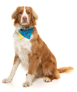 FuzzYard Kings of Gold School Bandana