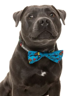 FuzzYard Kings of Gold School Bowtie