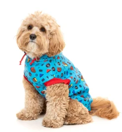 FuzzYard Kings of Gold School Hoodie