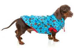 FuzzYard Kings of Gold School Hoodie