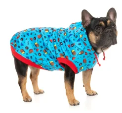 FuzzYard Kings of Gold School Hoodie