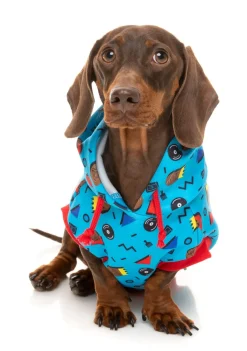 FuzzYard Kings of Gold School Hoodie