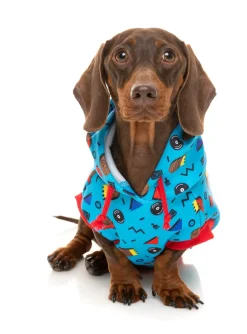 FuzzYard Kings of Gold School Hoodie