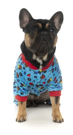 FuzzYard Kings of Gold School Pajamas