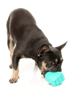 FuzzYard Knuckle Sandwich - Interactive Chew Toy