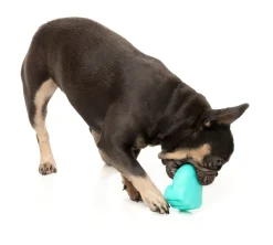 FuzzYard Knuckle Sandwich - Interactive Chew Toy