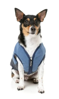 FuzzYard Kyoto Jacket - Blue