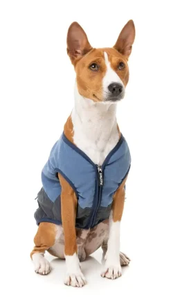 FuzzYard Kyoto Jacket - Blue