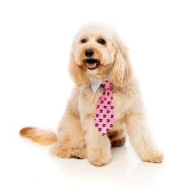 FuzzYard Lady Cherrybomb Necktie