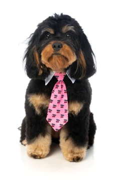 FuzzYard Lady Cherrybomb Necktie