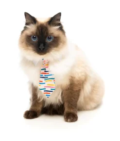 FuzzYard Lord Carnaby Necktie