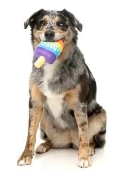 FuzzYard Love Icy Pole - Dog Toy