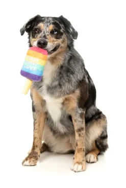 FuzzYard Love Icy Pole - Dog Toy