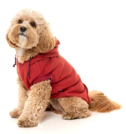 FuzzYard Maroon Street Hoodie