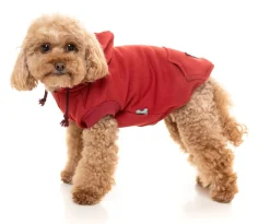 FuzzYard Maroon Street Hoodie