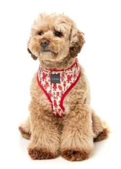 FuzzYard Meat Heads - Dog Harness