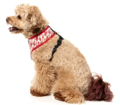 FuzzYard Meat Heads - Dog Harness