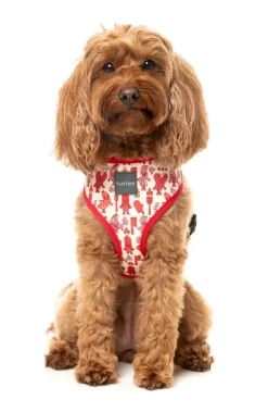 FuzzYard Meat Heads - Dog Harness