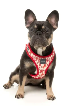 FuzzYard Meat Heads - Dog Step In Harness