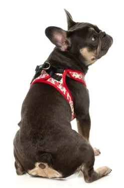 FuzzYard Meat Heads - Dog Step In Harness