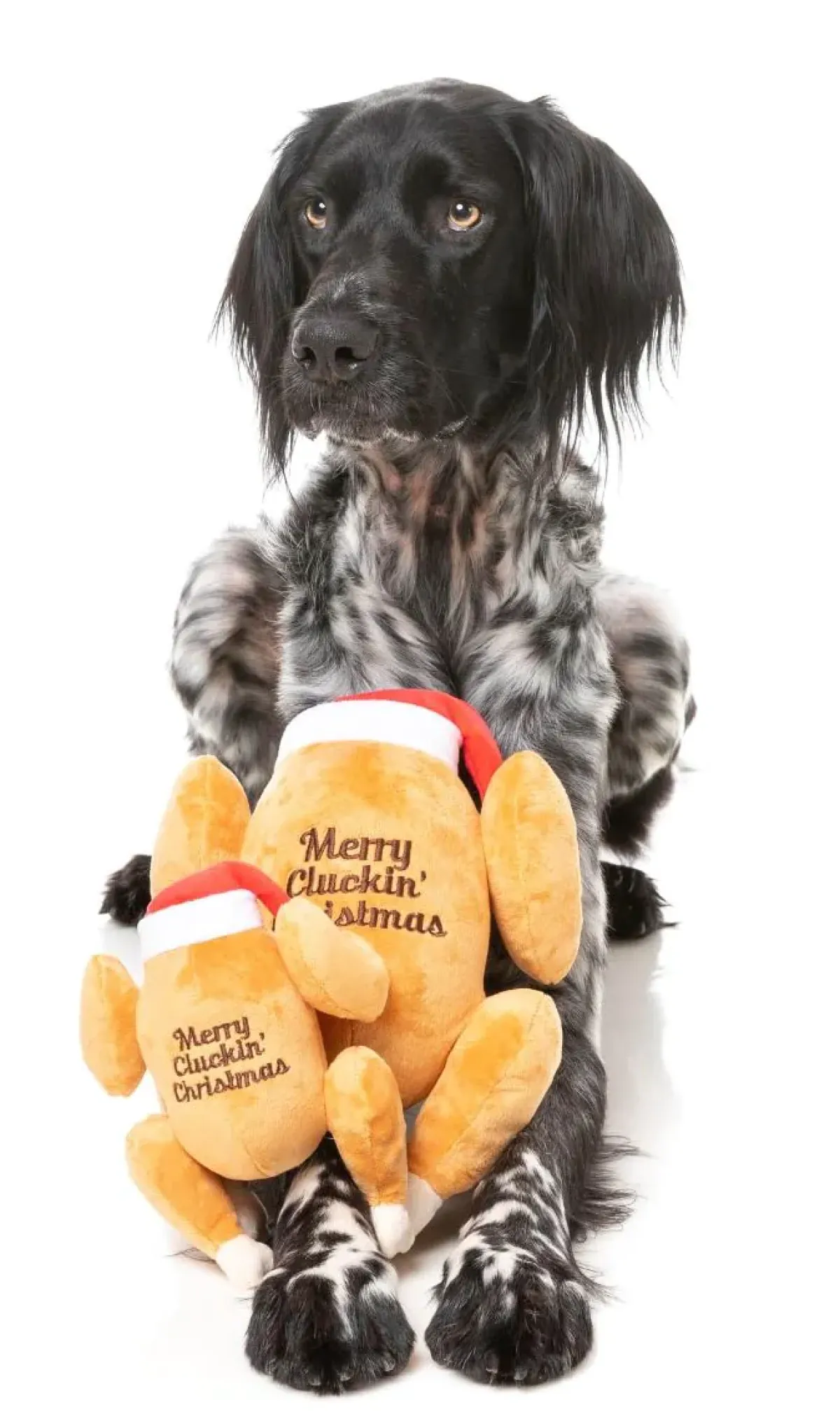 FuzzYard Merry Cluckin' Christmas - Dog Toy