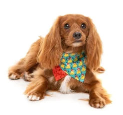 FuzzYard Merry Quackmas - Dog 2 Pack