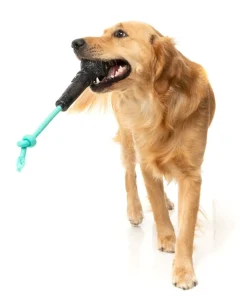 FuzzYard Mic Drop - Interactive Chew Toy