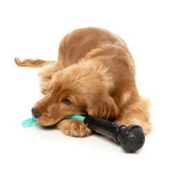 FuzzYard Mic Drop - Interactive Chew Toy