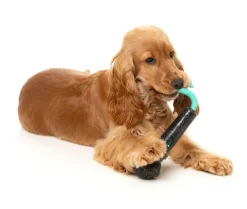 FuzzYard Mic Drop - Interactive Chew Toy