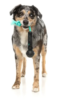 FuzzYard Mic Drop - Interactive Chew Toy