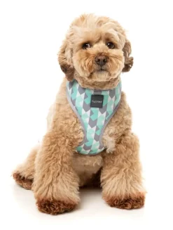 FuzzYard Mint Fizz - Dog Harness