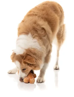 FuzzYard Mistle-Dough - Dog Toy